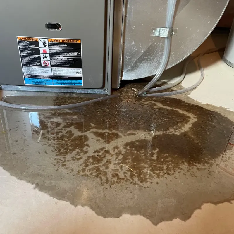 Appliance Leak Cleanup in Daleville, IN